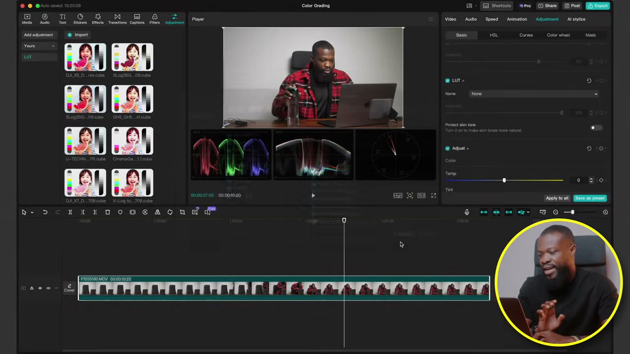 Import de LUT no painel Adjustment → LUTs
